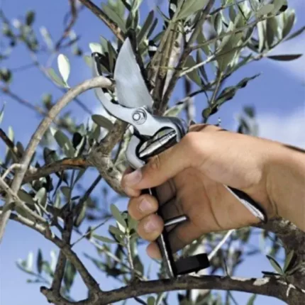 Foarfeci - Fitofarmacia Sosa