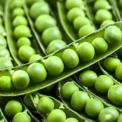 Mazare - Fitofarmacia Sosa