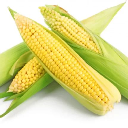 Porumb - Fitofarmacia Sosa