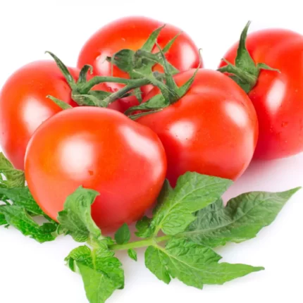 Tomate - Fitofarmacia Sosa