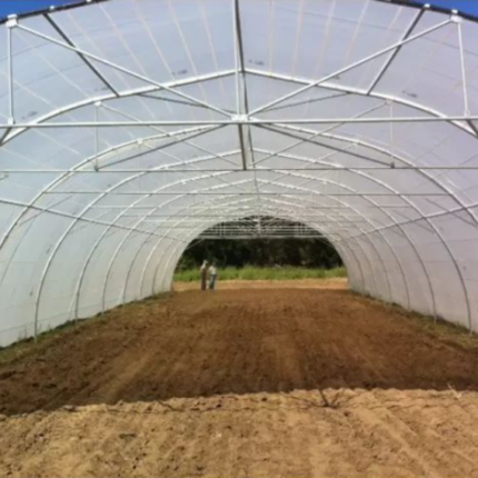 Folie protectie solara