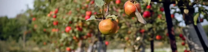 skylar-zilka-VW4x7oFSFJU-unsplash_12013031-1-1024x683