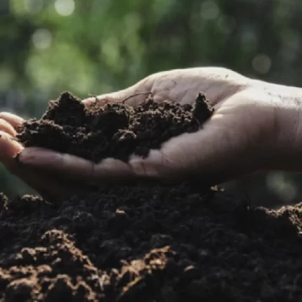 Substraturi si pamant